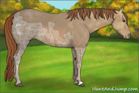 Horse Color:Chestnut Ice 