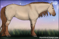 Horse Color:Liver Red Dun 