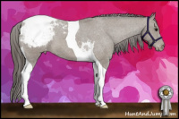Horse Color:Bay Tobiano Snowcap 