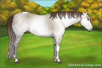 Horse Color:Gray Red Dun Ice Tobiano 