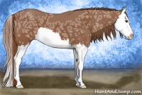 Horse Color:Chestnut Ice Splash 