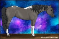 Horse Color:Grullo Tobiano 