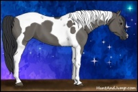 Horse Color:Grullo Tobiano 