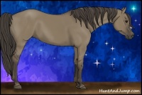 Horse Color:Smoky Grullo 