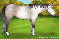 Horse Color:Gray Bay Ice Dun Tobiano Rabicano 