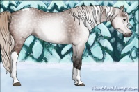 Horse Color:Gray Silver Bay Tobiano 