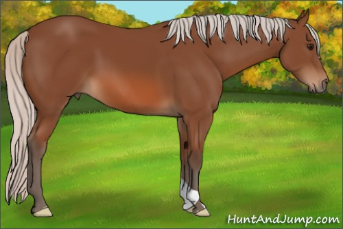 Horse Color: Silver Bay 