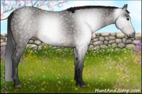 Horse Color:Gray Brown Roan
