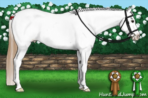 Horse Color: Smoky Grullo Snowcap Rabicano 