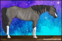 Horse Color:Grullo Rabicano 