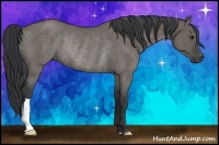 Horse Color:Grullo Rabicano 