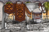 Horse Color:Gray Grullo