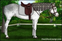 Horse Color:White Spotted Smoky Blue Ice Roan 