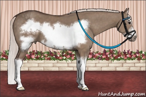 Horse Color:Silver Grullo Sabino Splash Frame