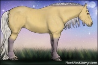 Horse Color:Watercolor Silver Buckskin