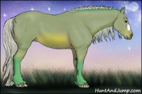 Horse Color:Watercolor Silver Bay