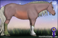 Horse Color:Watercolor Silver Bay 