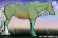 Horse Color:Watercolor Silver Bay 