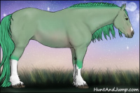 Horse Color:Watercolor Buckskin 