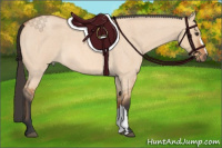 Horse Color:Bay Roan Dun 