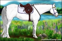 Horse Color:Gray White Spotted Bay Dun Splash 