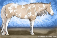 Horse Color:White Spotted Chocolate Palomino Pearl Splash 