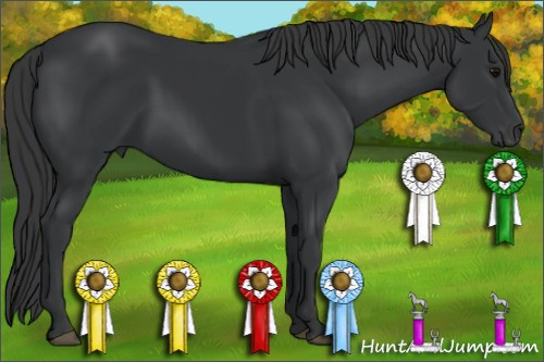 Horse Color: Black 