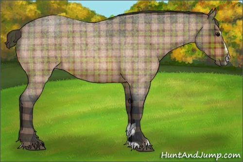 Horse Color: Plaid  Bay Roan Sabino 