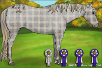 Horse Color:Plaid  Buckskin Varnish 