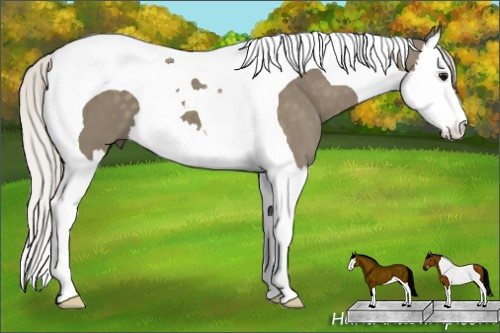 Horse Color: Silver Smoky Black Splash Tobiano 