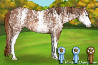 Horse Color:White Spotted Liver Chestnut Rabicano 