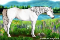 Horse Color:Gray White Spotted Silver Bay Dun Tobiano 