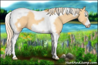 Horse Color:Gold Cream Champagne Dun Splash Tobiano Frame 