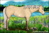 Horse Color:Silver Buckskin Roan Dun Frame