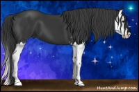 Horse Color:Black Sabino Splash 
