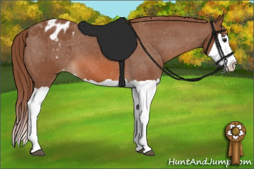 Horse Color: Chestnut Splash Blanket 