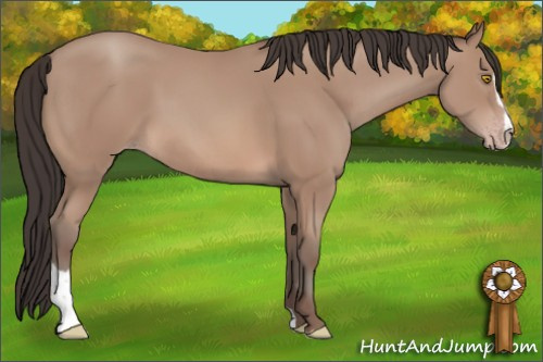 Horse Color: Sable Champagne Sabino 