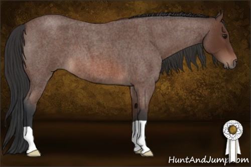 Horse Color: Bay Roan 