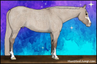 Horse Color:Silver Brown Roan Dun Sabino 