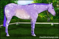 Horse Color:Watercolor Bay Ice 