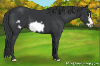 Horse Color:Brown Frame 
