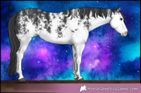 Horse Color:White Spotted Black