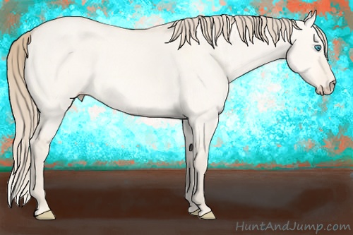 Horse Color:Perlino Dun 