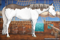 Horse Color:Silver Blue Roan Splash