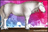 Horse Color:Gray Chestnut Splash 