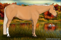 Horse Color:Chocolate Palomino 