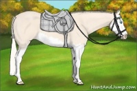 Horse Color:Cremello Sabino Splash 