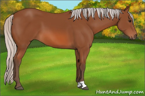 Horse Color: Silver Bay 