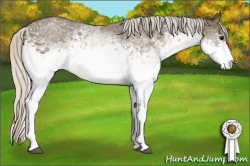 Horse Color: White Spotted Silver Smoky Black 