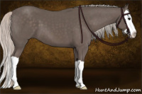 Horse Color:Silver Black Splash